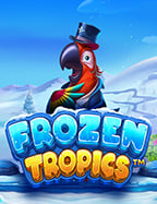 โหลด เกม joker69 ทดลองเล่น สนุกง่ายๆ กับสล็อต