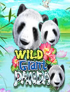 รีวิวการดาว โหลด เกม สล็อต live22 และคู่มือการเล่นง่ายๆ